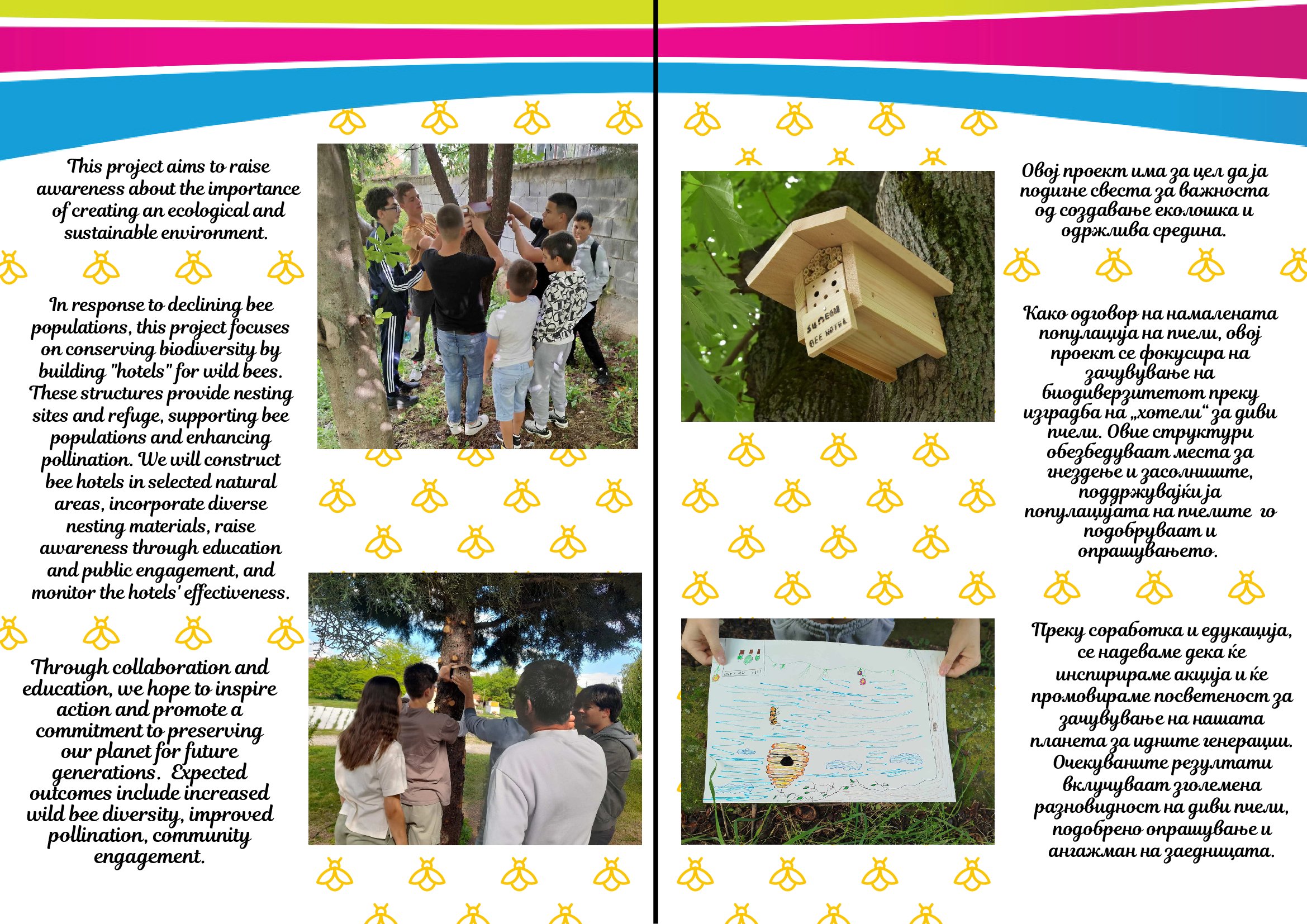 Ecology in Kumanovo Bee hotel initiative_00002