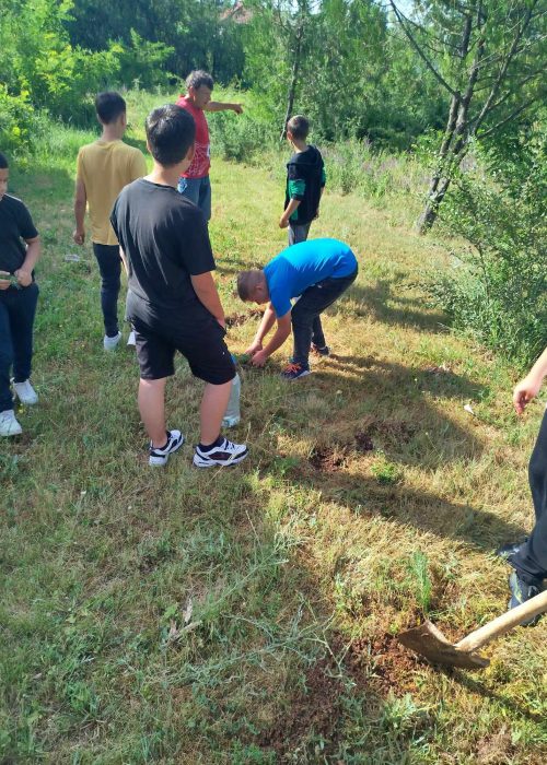 The call of the nature